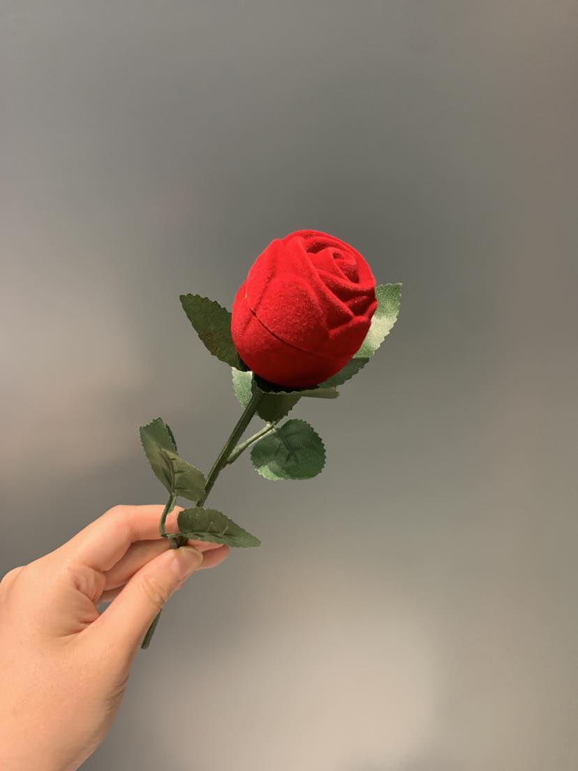 Rose Ring Case