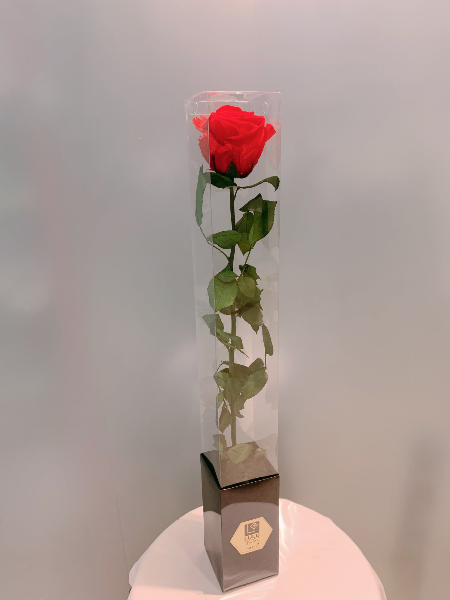 Everlasting Preserved Rose