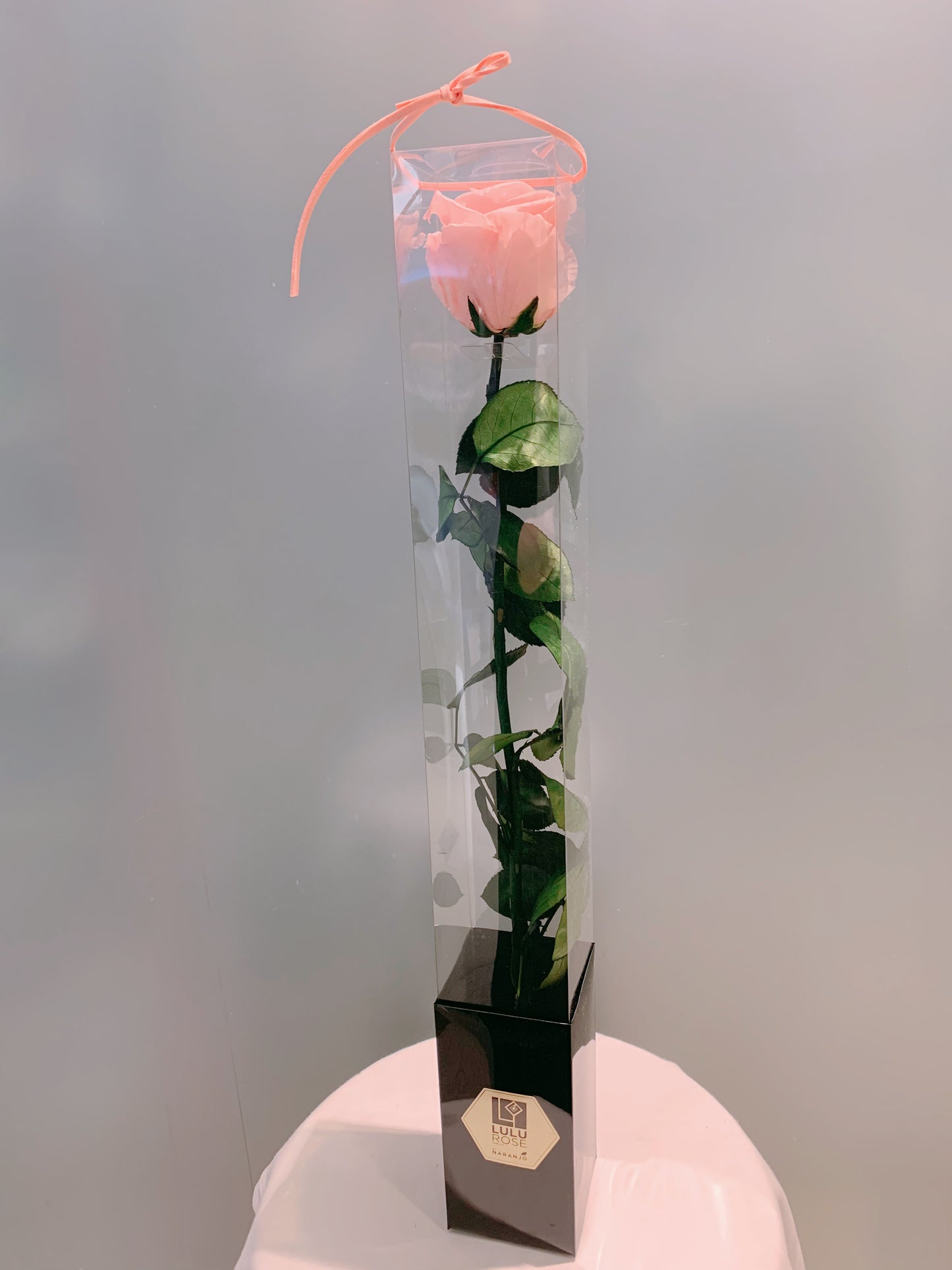 Everlasting Preserved Rose