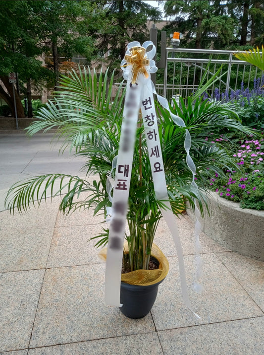 Plant with Lettering