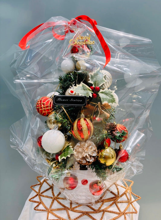 Christmas Tree🎄🤍
