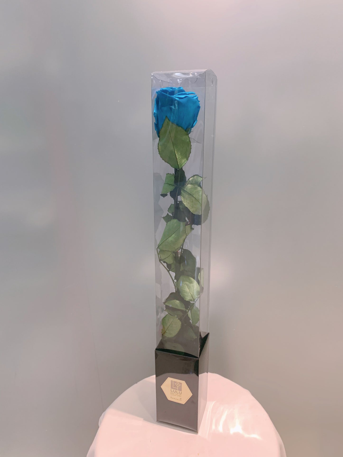 Everlasting Preserved Rose